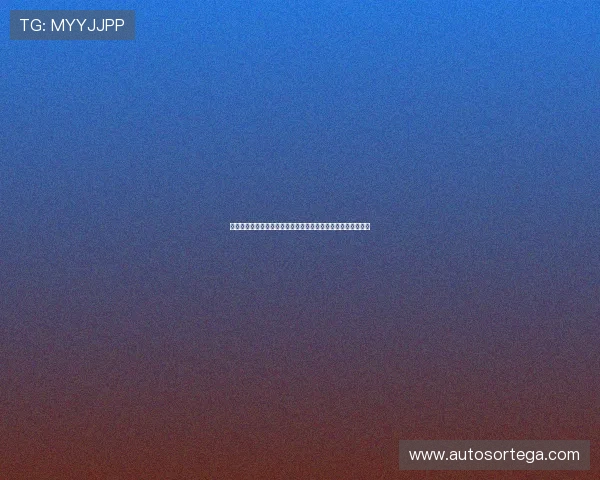 博天堂发布页最新公告,全面解析平台最新版本功能与更新内容